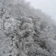 ぱぱぱの画像