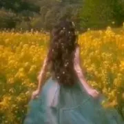 【引っ越しのため多数出品中】Lalaの画像
