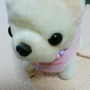 ヒロママ