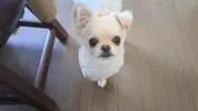 MB