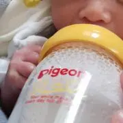ハル