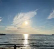 ポロの画像