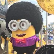 ⭐️⭐️⭐️