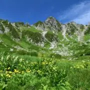 鈴木の画像