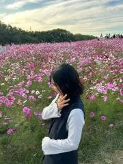 ほ た る  。の画像