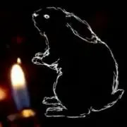lapin