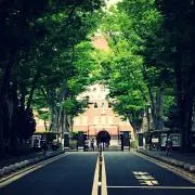 りーの画像