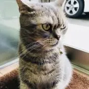 じじままの画像