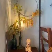 ナッツの画像