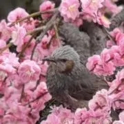 まあーちゃんの画像