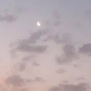 ®️の画像