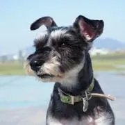 kchanの画像