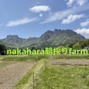nakahara朝採りfarmの画像