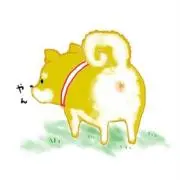ゆき