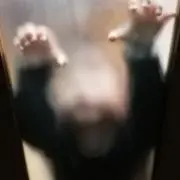 新金号
