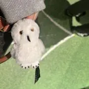 tomotoの画像