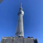 快投キッド【即購入OK】の画像