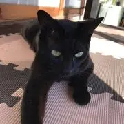 おかあの画像
