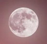 はちみつの画像