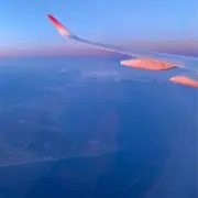 バケモン