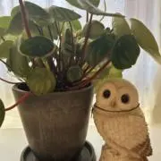みよ☆46の画像