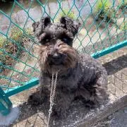 ココナッツ