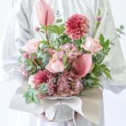 モモエの画像