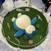 ₍ᵔ· ̫·ᵔ₎の画像