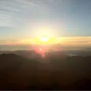 タコ太郎