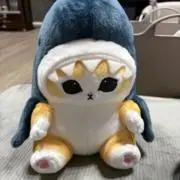 NAMOの画像
