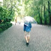 主にGUAPIグアピ出品の画像