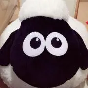 しんたろー
