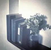 ice