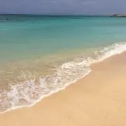 こちんきの画像