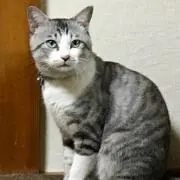 かず