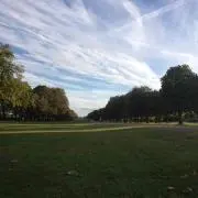 フリーズの画像