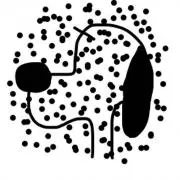 がおぴの画像