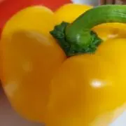 ちっちの画像