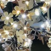 YYYYの画像