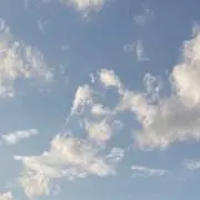ももの画像