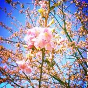 kazuoz0423の画像