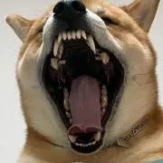 るんるんの画像