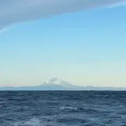denの画像
