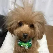 fu❤︎