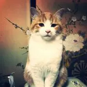 ムラムラ