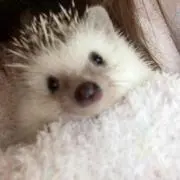 じゅん