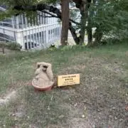ふーちゃんの画像