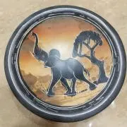 トコロンの画像