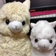 とんちゃん
