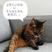 まなつの画像